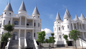 dai hoc vo truong toan anh dai dien