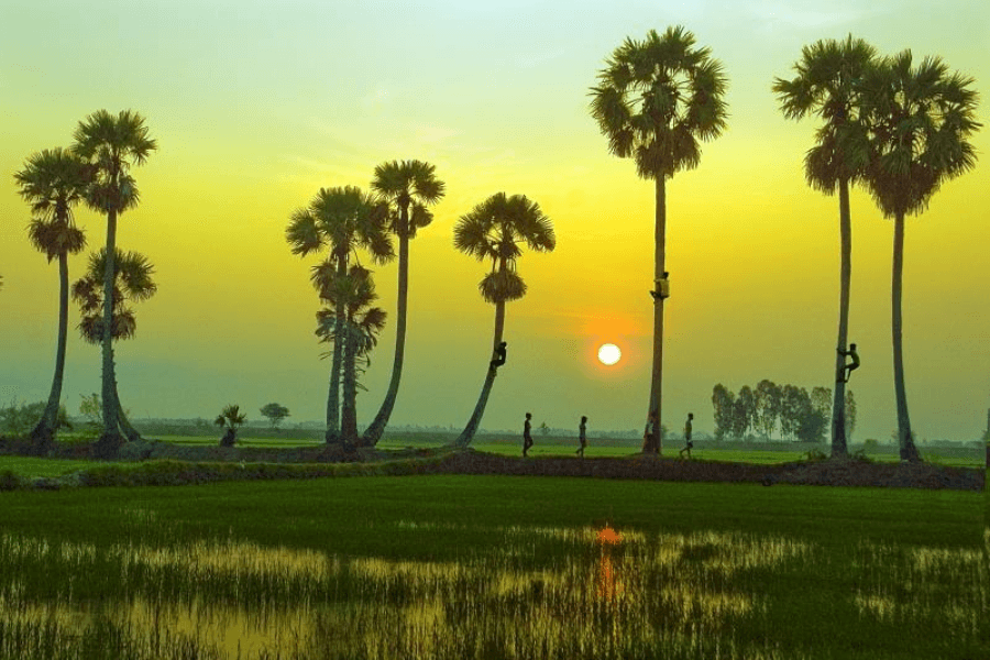 Tui Là Người Miền Tây - English 21 T005 D1 p1