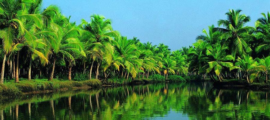 Tui Là Người Miền Tây - English 25 du lịch bến tre