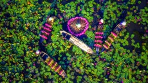 Long An mùa nước nổi