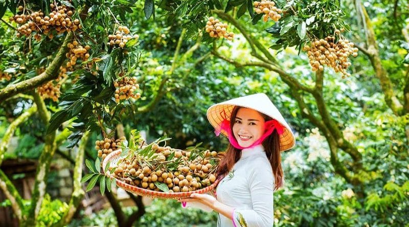 Đặc sản Bạc Liêu nào có thể mua làm quà? 1 Đặc sản Bạc Liêu