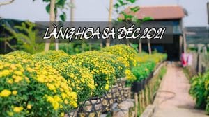 Làng hoa Sa Đéc 2021