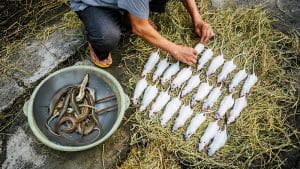 Món ăn kinh dị miền tây