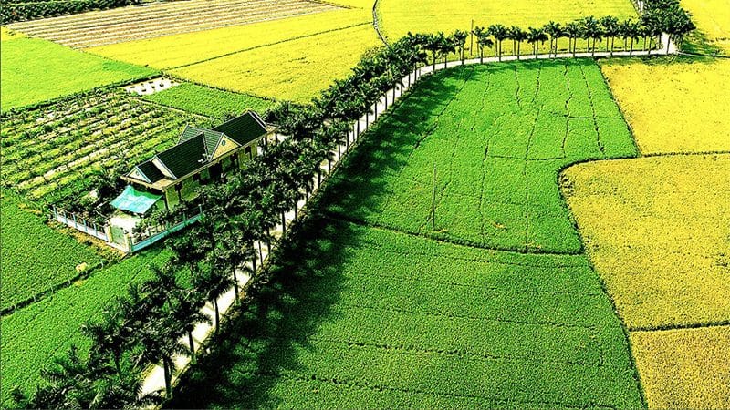 Những con đường đẹp nhất miền Tây 2021 hút hồn du khách 1 Những con đường đẹp nhất miền Tây