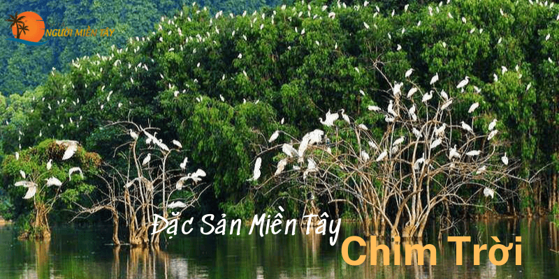 Đặc Sản Miền Tây