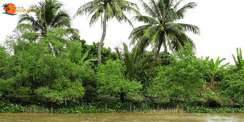 cồn đất Bến Tre