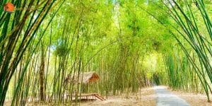 Thiet ke khong ten 2