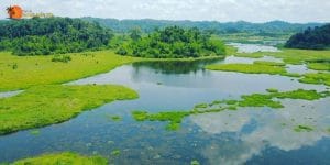 Thiet ke khong ten 2021 07 23T103413.308