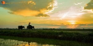 Thiet ke khong ten 72