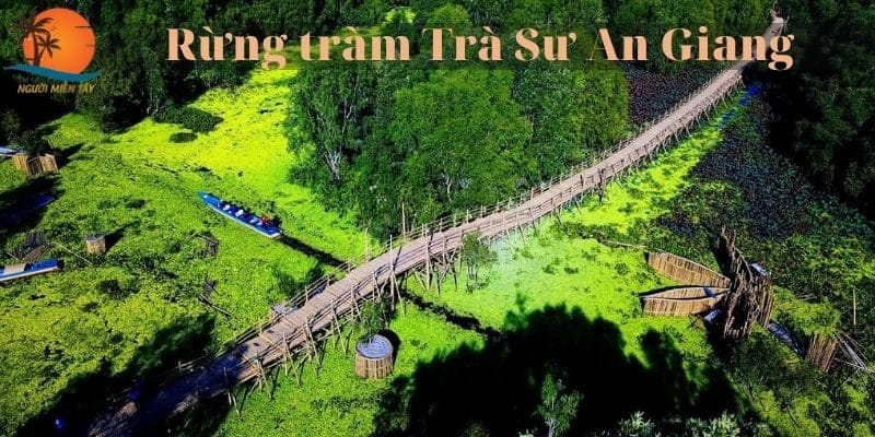 Rung tram Tra Su An Giang