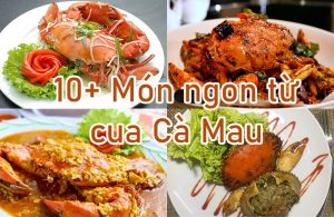 10 mon ngon tu cua ca mau