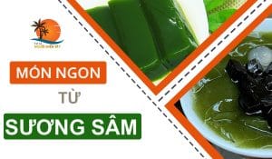 món ngon từ sương sâm