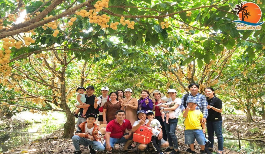 vườn trái cây ở cần thơ