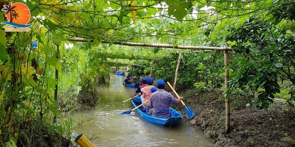 vườn trái cây ở cần thơ