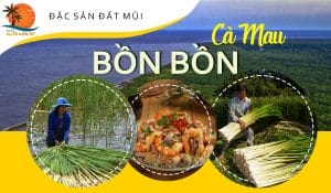 bồn bồn Cà Mau