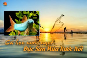 Cá heo nước ngọt