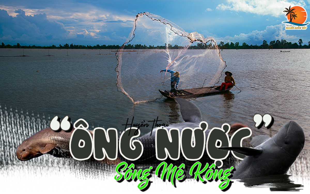 Cá nược là cá gì? Huyền thoại về “Ông Nược” trên sông Mê Kông