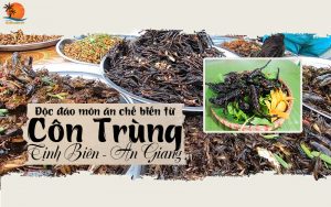 Món ăn được từ côn trùng