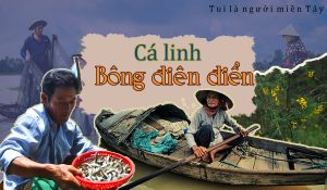 canh chua cá linh bông điên điển