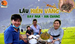 lẩu kiến vàng vùng bảy núi an giang