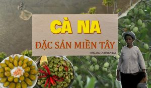 Món ngon từ cà na