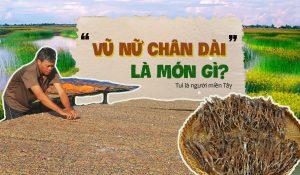 Vũ nữ chân dài là món gì?
