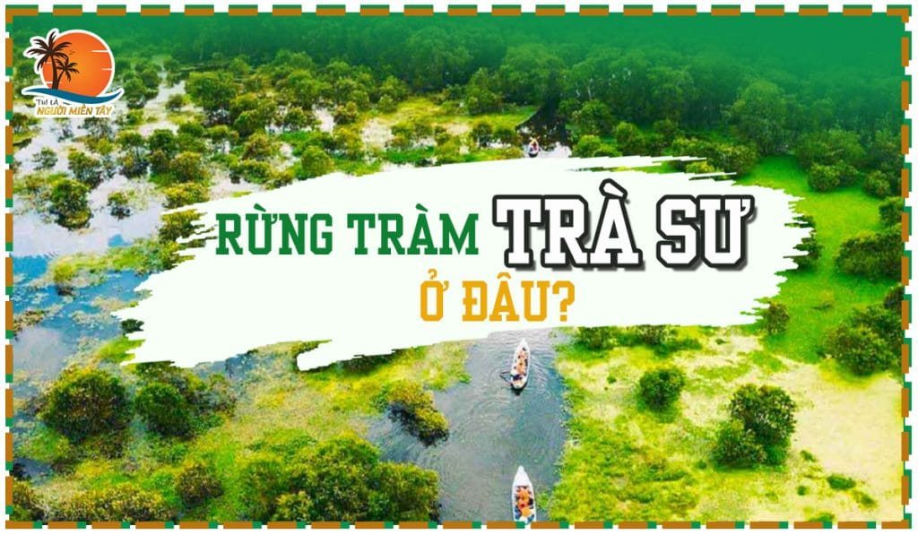 Rừng tràm Trà Sư ở đâu ? - Khám phá kho tàng thiên nhiên quý giá của miền Tây 1 rung tram tra su o dau