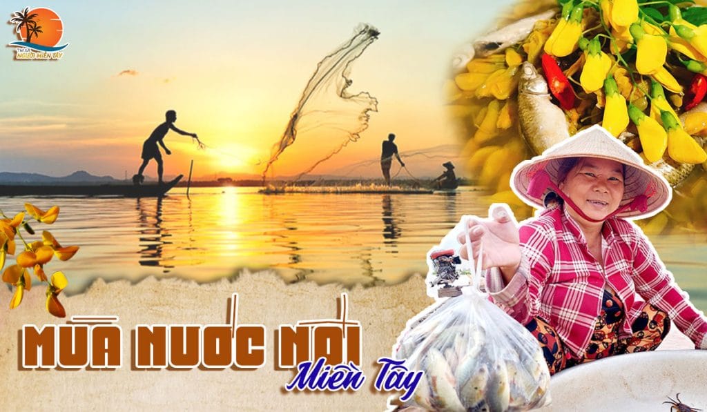 Tới mùa nước nổi miền tây, nhớ da diết món canh chua điên điển cá linh quê nhà 1 mùa nước nổi miền tây