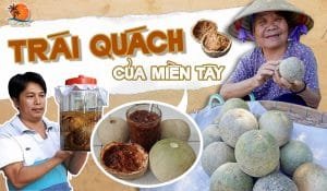 Trái quách miền tây