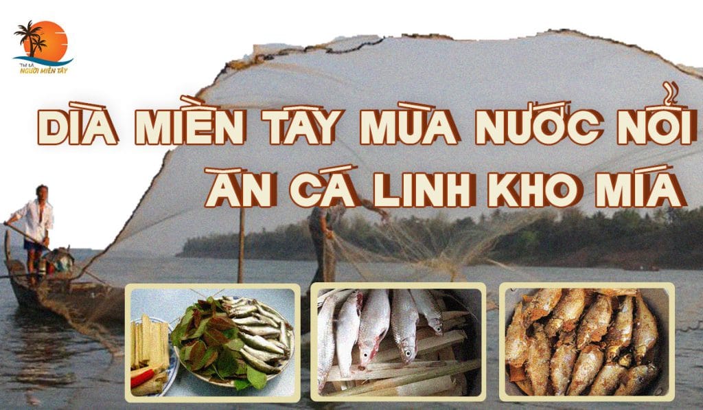 cách làm cá linh kho mía