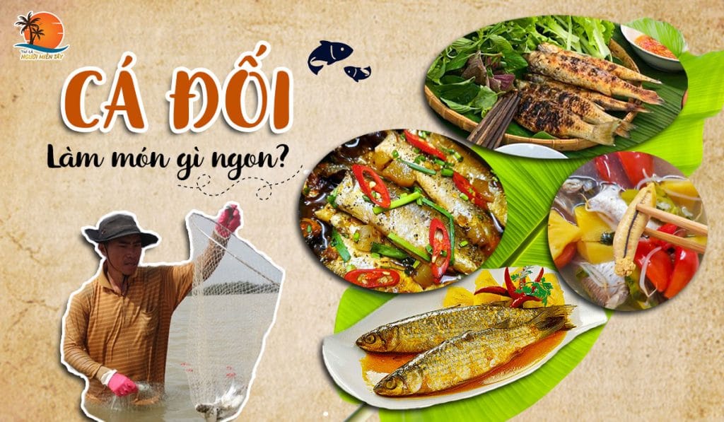 Cá đối làm gì ngon