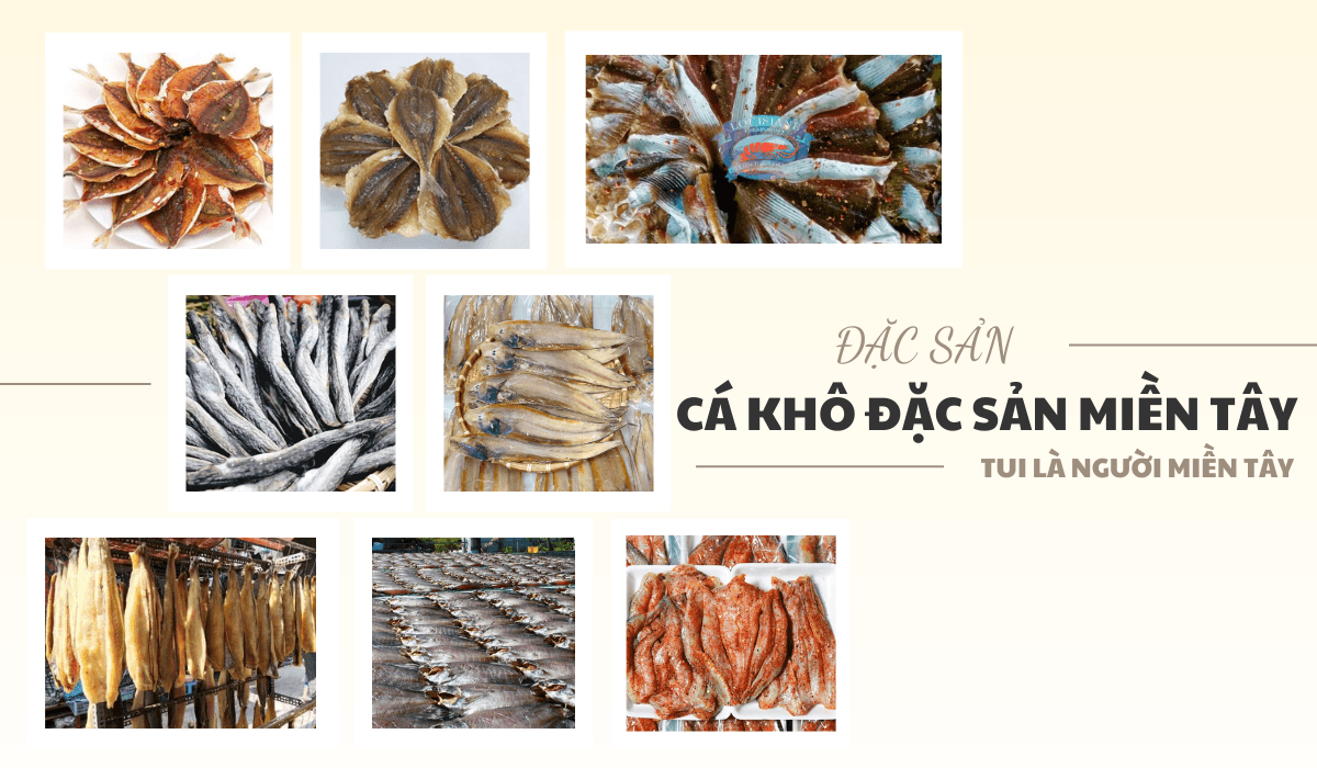 THƠM LỪNG HƯƠNG VỊ MIỀN TÂY KHÁM PHÁ CÁC LOẠI CÁ KHÔ ĐẶC SẢN MIỀN TÂY