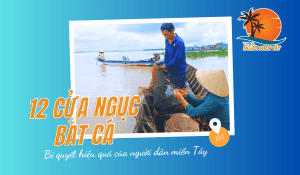 12-CUA-NGUC-BAT-CA-BI-QUYET-HIEU-QUA-CUA-NGUOI-DAN-MIEN-TAY