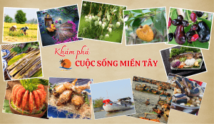 Khám phá cuộc sống miền Tây