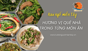 RAU NGỔ MIỀN TÂY - HƯƠNG VỊ QUÊ NHÀ TRONG TỪNG MÓN ĂN