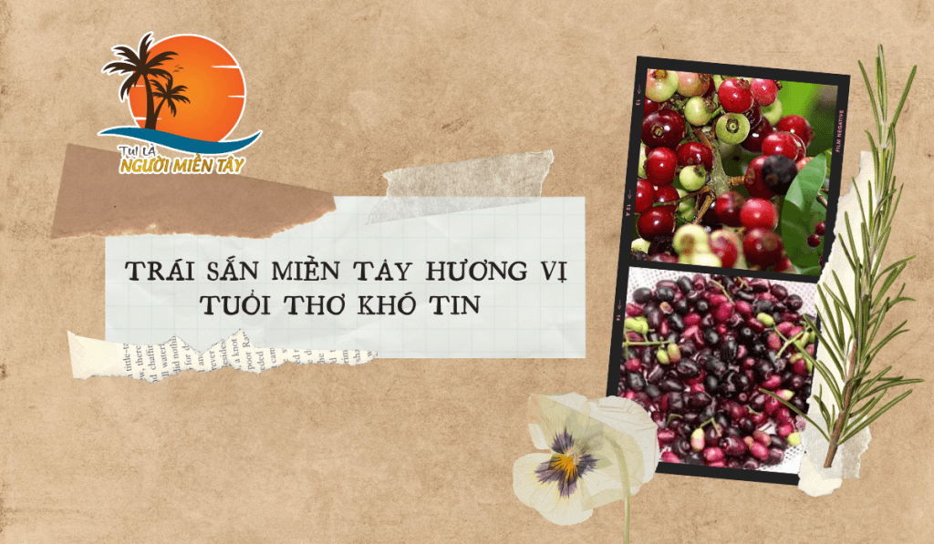 Trái sắn miền Tây - Trái sắn, một đặc sản quen thuộc của vùng sông nước miền Tây, đã trở thành một phần không thể thiếu trong ký ức tuổi thơ của nhiều người. Với hương vị chua ngọt thanh mát, trái sắn không chỉ là món ăn giải khát mà còn mang đậm nét văn hóa của vùng đất này. Bài viết này sẽ đưa bạn đi khám phá những điều thú vị về trái sắn miền Tây, từ đặc điểm, công dụng cho đến cách thưởng thức.