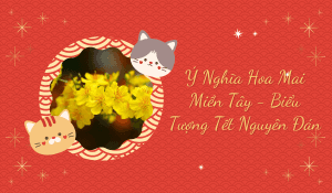 Ý Nghĩa Hoa Mai Miền Tây - Biểu Tượng Tết Nguyên Đán