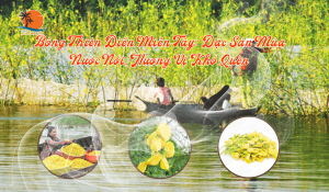 Bông Thiên Điển Miền Tây Đặc Sản Mùa Nước Nổi, Hương Vị Khó Quên