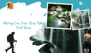 [2025] "Overwhelmed" by Vietnam's Most Beautiful Streams: Paradise Within Reach!