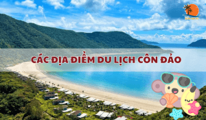 Con Dao Tourist Destinations A Paradise of Pristine Beauty and Heroic History