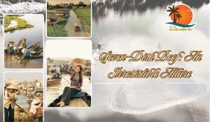 Western Southern Dialect Dictionary: Discover a Unique Linguistic Treasure 8 Western Southern Dialect Dictionary