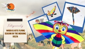 When is Kite Flying Season in the Mekong Delta: Sky-High Winds on Colorful Kites 3 When is Kite Flying Season in the Mekong Delta Sky-High Winds on Colorful Kites