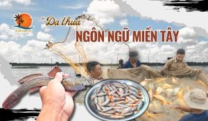 Dạ thưa trong ngôn ngữ miền Tây