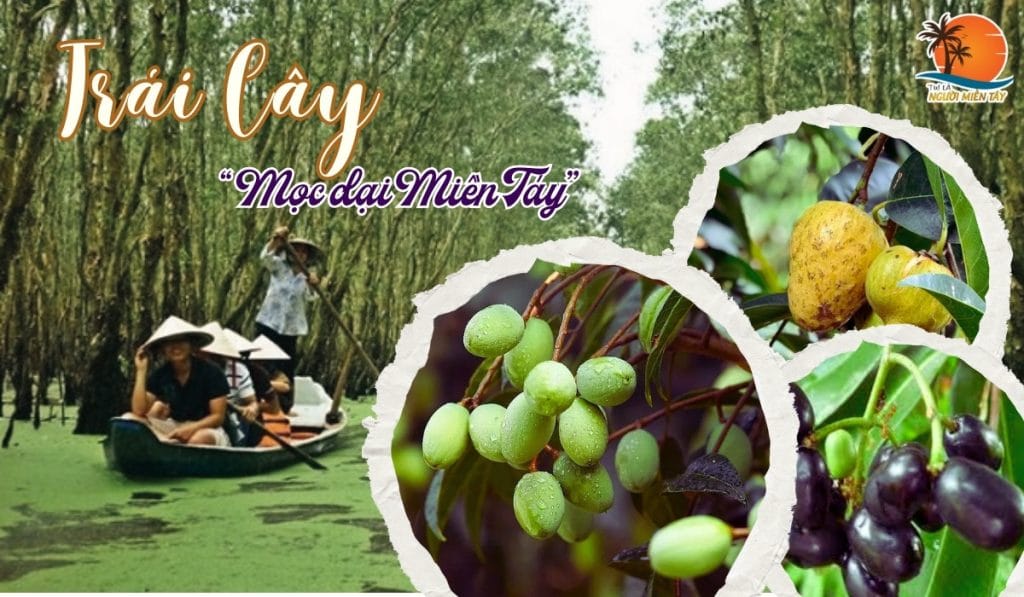 Top 20 Loại Trái Cây Mọc Dại Miền Tây: Gọi Tên Ký Ức Tuổi Thơ 1 Top 20 Loại Trái Cây Mọc Dại Miền Tây Gọi Tên Ký Ức Tuổi Thơ