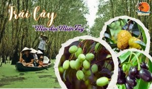 Top 20 Loại Trái Cây Mọc Dại Miền Tây Gọi Tên Ký Ức Tuổi Thơ