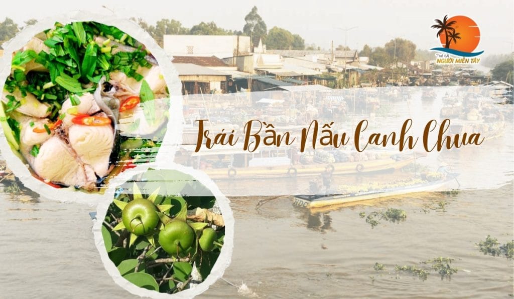 Trái Bần Nấu Canh Chua Vị Chua Thanh Khiết Từ Phù Sa Sông Nước Miền Tây